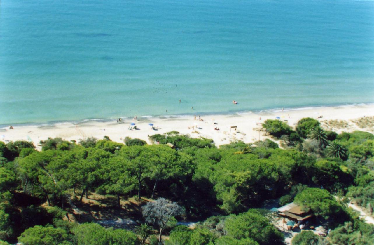 Villaggio Turistico Airone Riotorto Exterior foto